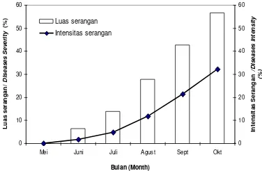 Gambar 1. Perkembangan penyakit bu-dok pada tanaman nilam di Figure 1. Progress of budok disease at Situak Pasaman Barat patchouli plants in Situak West Pasaman  