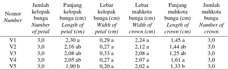 Tabel 1. Morfologi kelopak dan mahkota bunga kencur    Table 1. Morphology of petals and flower crown of Indian galanga  