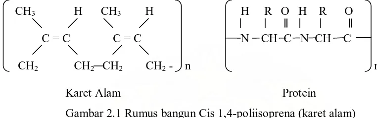 Gambar 2.1 Rumus bangun Cis 1,4-poliisoprena (karet alam) 