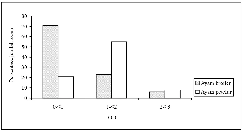 Gambar 1. Uji kontrol positif dan negatif dari serum ayam dengan pengenceran antigen 1:50  