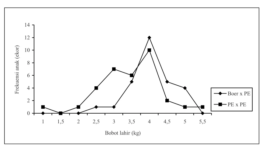 Tabel 1. Penampilan kambing anak hasil perkawinan Boer x PE dan PE x PE 