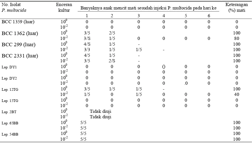 Tabel 1. Patogenitas isolat galur P. multocida dari BCC sesudah kultivasi palla media BID + FCS terhadap mencit 