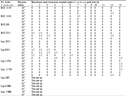 Tabel 3. Patogenitas isolat/galur P. multocida dari BCC sesudah kultivasi pada media BHI plus FCS terhadap anak ayam 