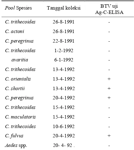 Tabel 2. Isolat virus yang diperoleh dari berbagai pool spesies Culicoides spp. dan Aedes spp