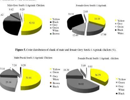 Figure 6. Color distribution of shank of male and female Pucak SenSi-1 Agrinak chicken (%)