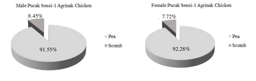 Figure 7. Distribution of comb type of the male and female Grey Sensi-1Agrinak chicken