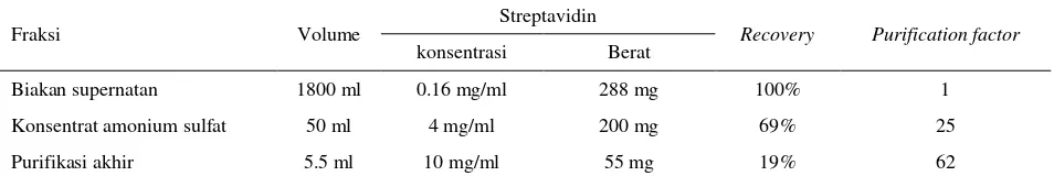 Tabel 1  Konsentrasi streptavidin pada biakan supernatan, biakan supernatan yang dikonsentrasikan 200 kali dengan presipitasi amonium sulfat, dan setelah dipurifikasi dengan afiniti kolom 2-Iminobiotin Agarose 