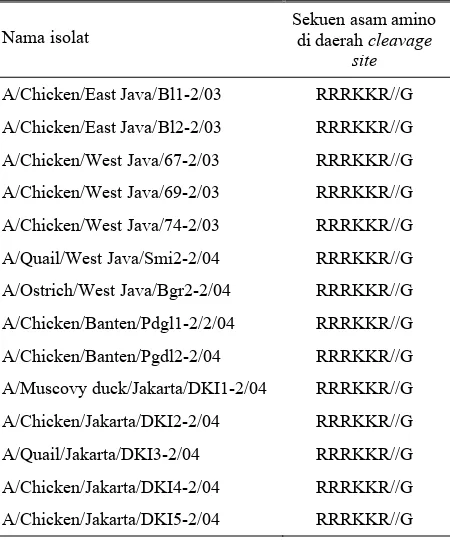 Tabel 2. Sekuen asam amino isolat Indonesia yang dikoleksi Balitvet di daerah cleavage site gen HA avian influenza yang menunjukkan multiple basic amino acid 