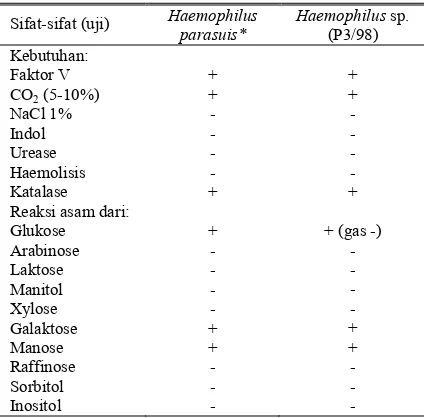 Tabel 1. Sifat-sifat biokimiawi dan fisiologik Haemophilus sp. (P3/98) asal babi umur 10 minggu lepas sapih 