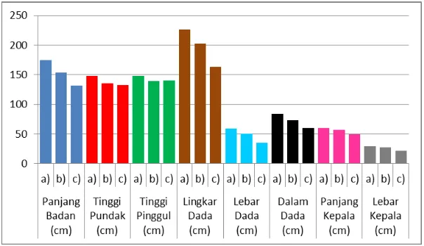 Gambar 3. Perbandingan beberapa paramater morfologi tubuh sapi jantan Simmental hasil persilangan di Sumatera Barat:  a) Simmental Purebred hasil penelitian (BIBD Tuah Sakato dan BIB Lembang, n=14); b) Simmental persilangan hasil penelitian (n=14); c) Sapi