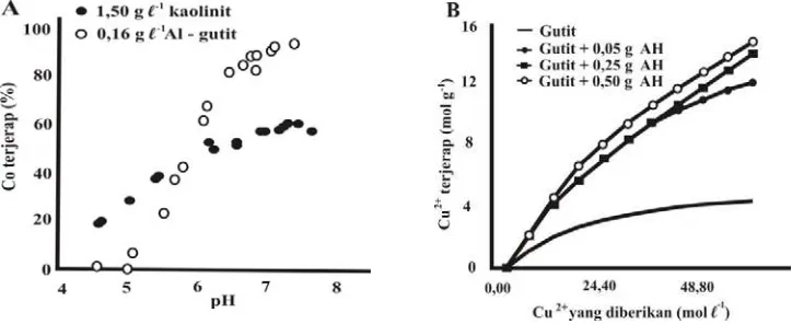 Gambar 2.  (A) Jerapan Co pada permukaan kompleks asam humat-kaolinit dan kompleks asam humat-Al-gutit (Murphy dan Zachara, 1995)