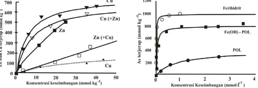 Gambar 3. (A) Jerapan Cu dan Zn dengan penambahan “humic acid like polymer” (POL) (Cu;Zn) atau campuran (Cu terjerap dengan adanya Zn [Cu(+Zn)]); Zn terjerap dengan adanya Cu[Zn(+Cu)]