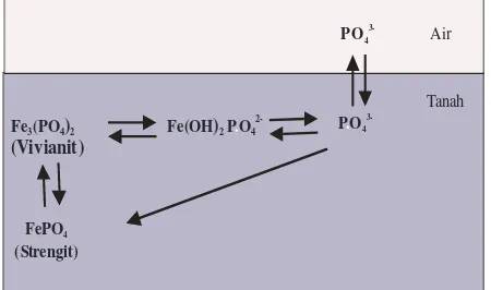 Gambar 6. Interaksi antara Fe dan fosfat di sulfat 