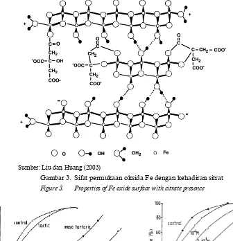 Gambar 3. Sifat permukaan oksida Fe dengan kehadiran sitrat 