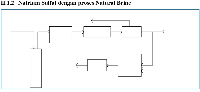 Gambar II.1 2. Natrium Sulfat dengan proses Natural Brine
