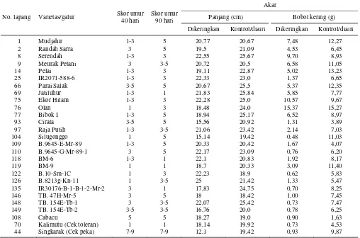Tabel 2. Panjang dan bobot akar varietas/galur terpilih yang toleran terhadap kekeringan, Jakenan, MK 2009