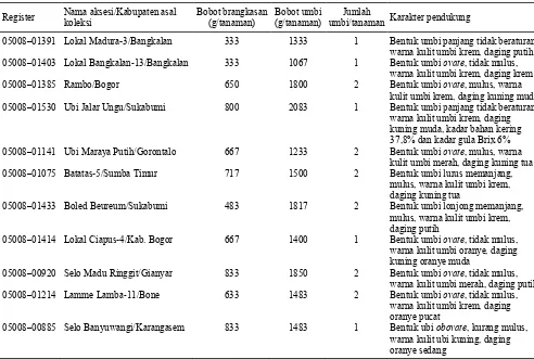Tabel 6. Penampilan aksesi terpilih yang mempunyai bobot umbi/tanaman pada kelompok umur panen 10 bulan di Blok Cibadak, 2010