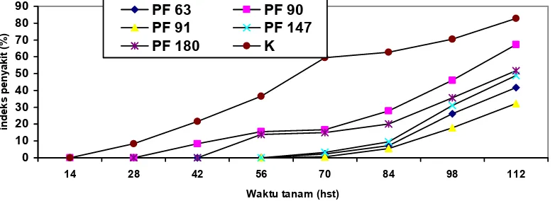 Gambar 1.  Perkembangan intensitas penyakit layu bakteri (%) pada nilam terinfeksi patogen setelah diperlakukan dengan pseudomonad Figure 1