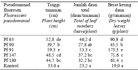 Tabel  2.  Pengaruh  pseudomonad fluoresen terhadap pertumbuhan nilam di lapangan pada 112 hari setelah tanam (HST)    Table 2.