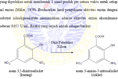 Tabel 4.2 Nilai absorbansi dan aktivitas eksoxilanase IT-08 terhadap substrat  