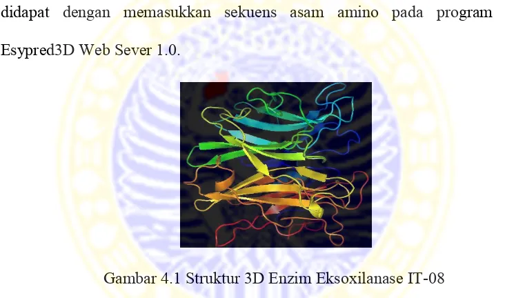 Gambar 4.1 Struktur 3D Enzim Eksoxilanase IT-08  