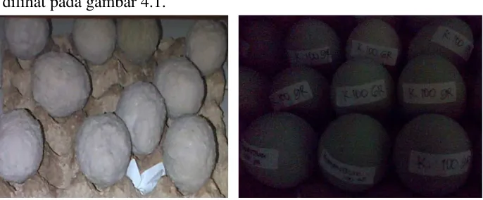 Gambar 4.1. Telur Asin Formula A 