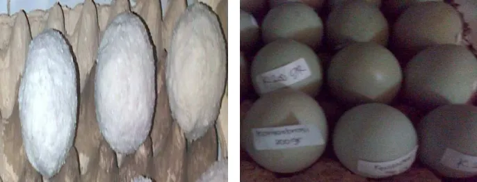 Gambar 4.2. Telur Asin Formula B 