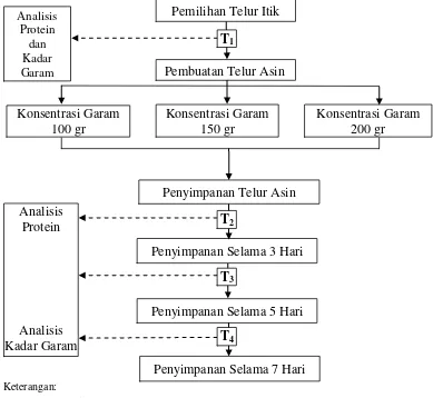 Tabel 1. Kadar Protein dan Kadar Garam Telur Itik Sebelum Perlakuan 