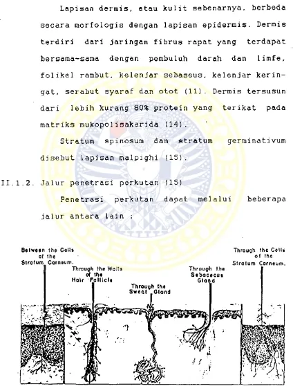 Gambar 2. Jalur penetrasi perkutan (15)