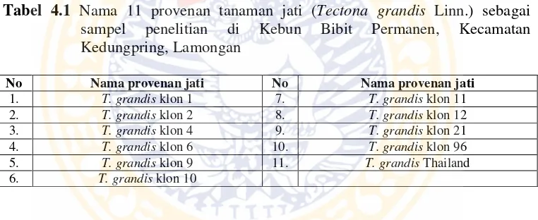 Tabel 4.1 Nama 11 provenan tanaman jati (Tectona grandis Linn.) sebagai 