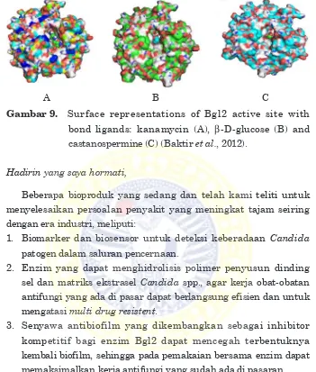 Gambar . Surface representations of Bgl2 active site with 