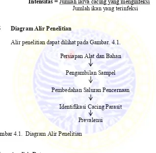 Gambar 4.1.  Diagram Alir Penelitian 