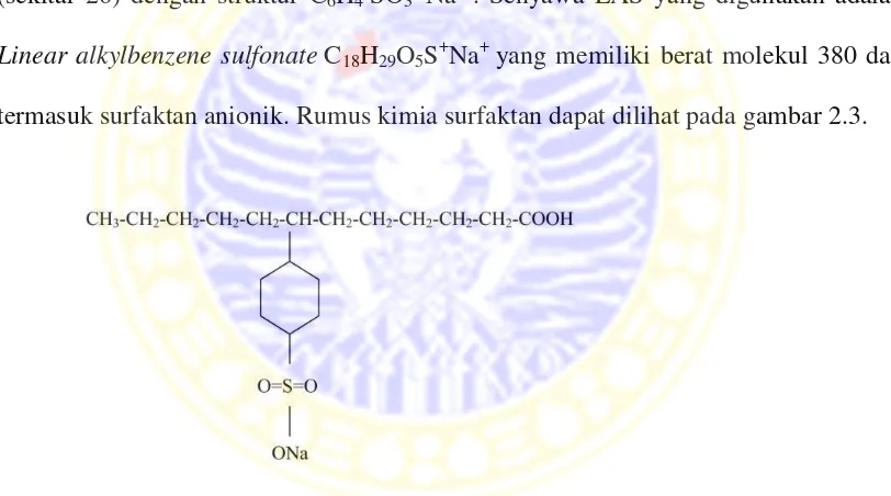 Gambar 2.3 Rumus kimia surfaktan (Fakhrizal, 2004).