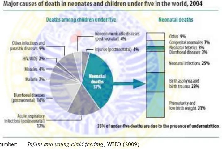 Gambar 1.1 Penyebab utama kematian bayi dan anak di bawah lima tahun dunia, 2004  
