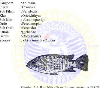 Gambar 2.1  Ikan Nila (Oreochromis niloticus) (BSNI, 2009) 
