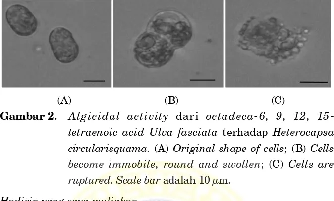 Gambar 2. Algicidal activity dari octadeca-6, 9, 12, 15-
