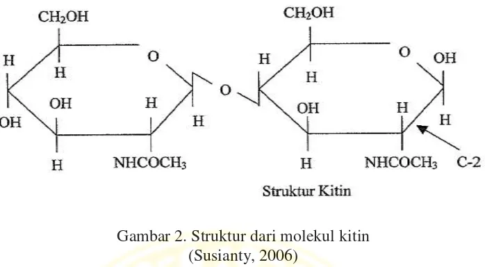 Gambar 2. Struktur dari molekul kitin 