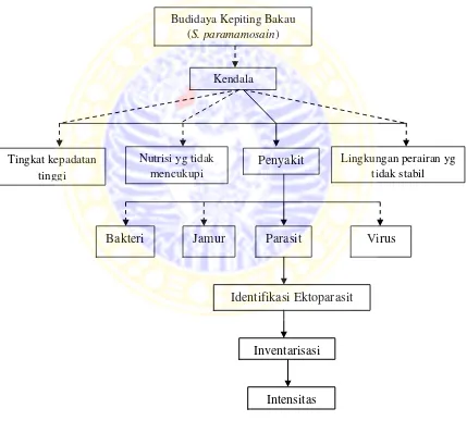 Gambar 3.8. Kerangka Konseptual Penelitian 