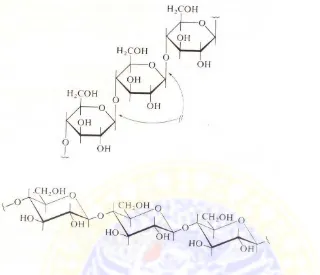 Gambar 1. Struktur Kimia Selulosa (Fessenden dan Fessenden, 1994) 