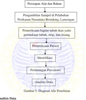 Gambar 5. Diagram Alir Penelitian 