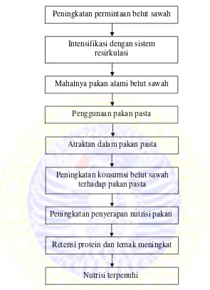 Gambar 2. Kerangka konseptual penelitian 