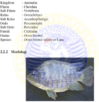 Gambar 2. Ikan Nila (Oreochromis niloticus Linn) (Sumber :Santoso, 1996) 