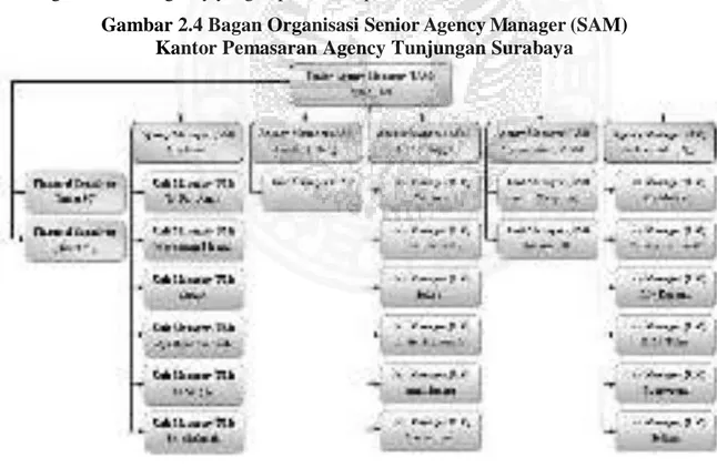 Gambar 2.4 Bagan Organisasi Senior Agency Manager (SAM)  Kantor Pemasaran Agency Tunjungan Surabaya 