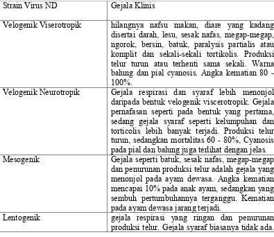 Tabel 2.1 Strain virus ND dan gejala klinis yang spesifik 