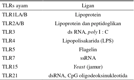Tabel 1. TLRs pada ayam dan ligannya 