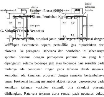 Gambar : 2.4 Skema Perubahan Kardiovaskuler