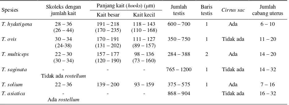 Tabel 2. Identifikasi cacing Taenia spp. dewasa berdasarkan skoleks dan proglotidnya 