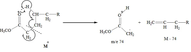 Gambar 6. Mekanisme fragmentasi homolitik gugusan metil ester asam lemak bebas menurut Mc