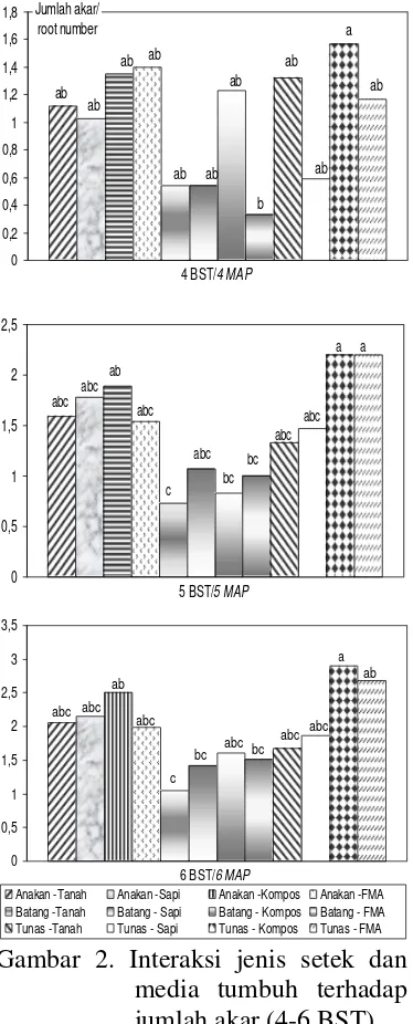 Figure 2. Interaction between kinds of 