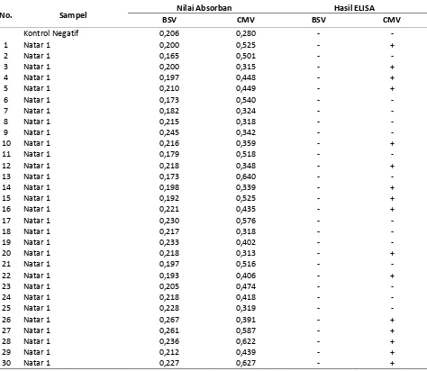 Tabel 2. Hasil ELISA dengan antiserum BSV dan CMV pada sampel benih lada dari Purbalingga Table 2